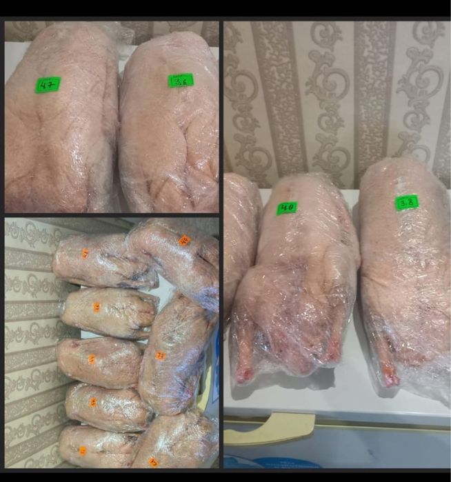 Домашние Гуси без всякой химии