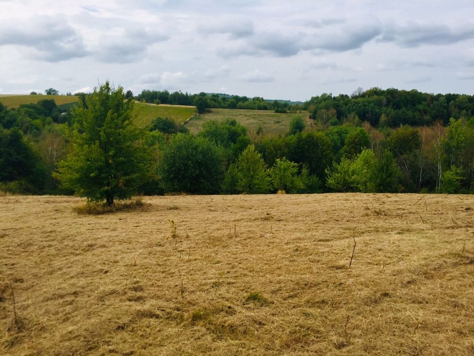 Vand Teren in Sinteu