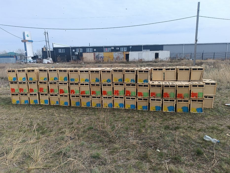 За матку атвет гарантия