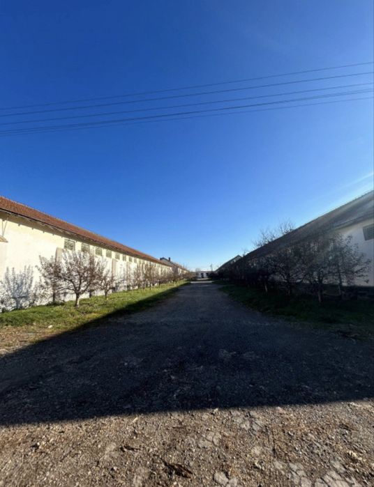 Complex Agroindustrial de Vanzare Statie de Uscare Tratare Seminte