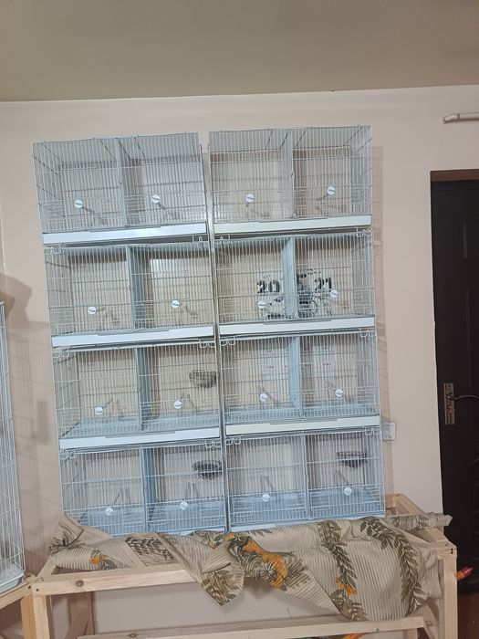 Kanareyka uchun parofka qafaslar sotiladilar