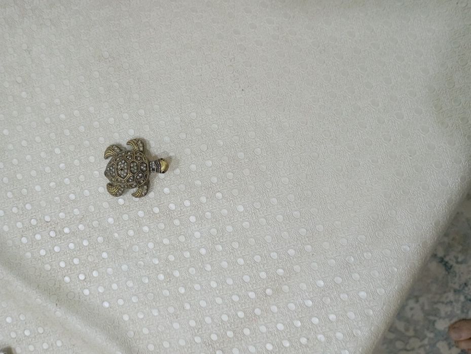 Черепаха на счастье