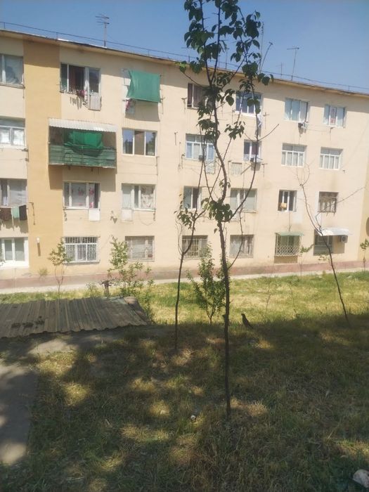 квартира 3 хонали