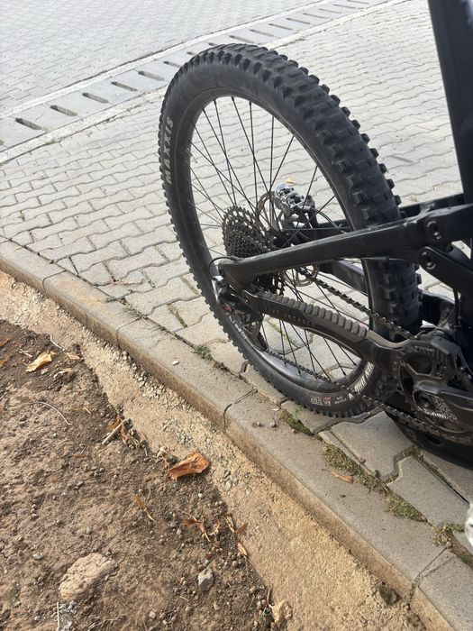 YT Capra 2023 Custom