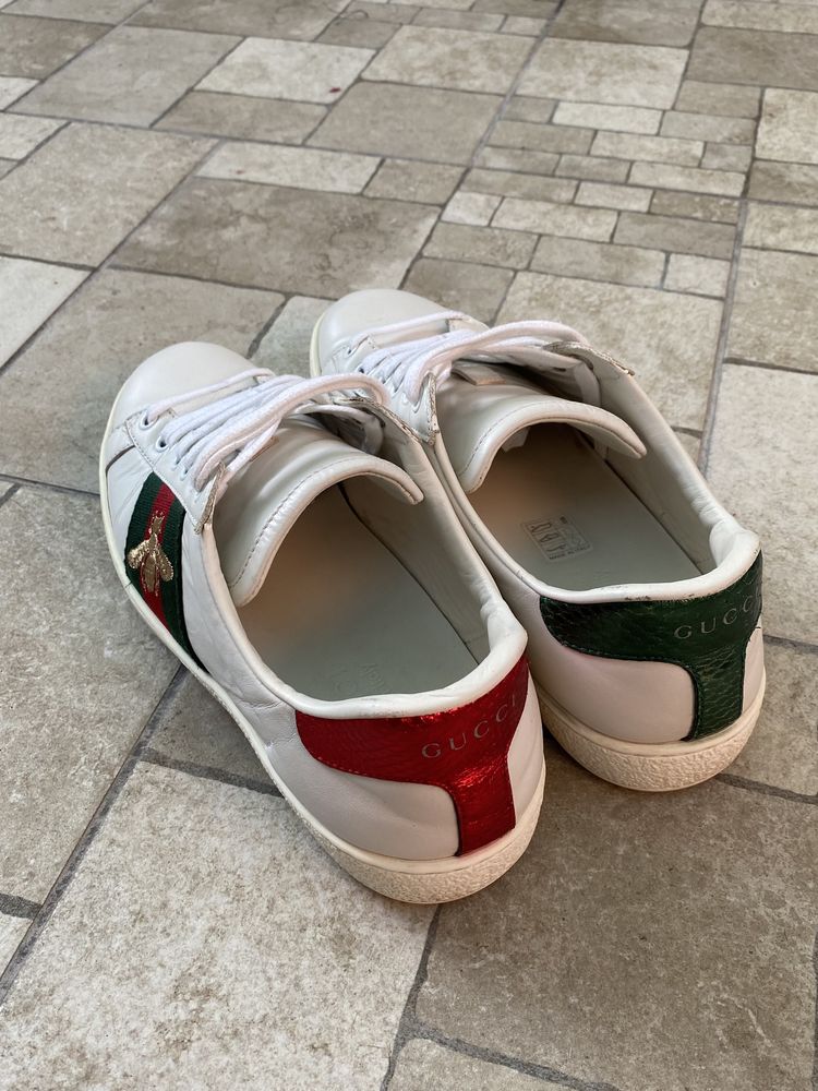 Sneakersi  Gucci Ace