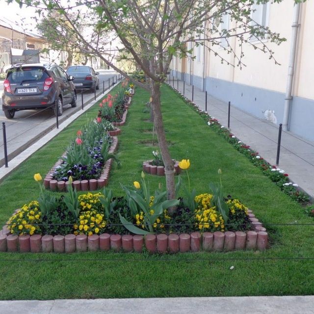 Газон ва автополив