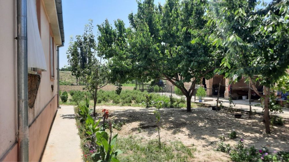 Oqqorgʻonda Uy sotiladi