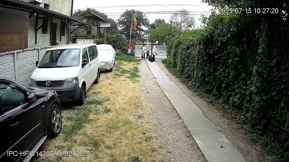 Curățenie curte,gradina,1000 m2
