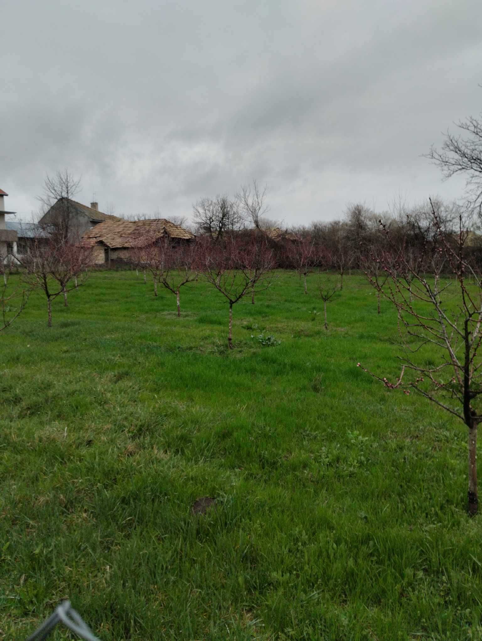 Урегулиран поземлен имот, с.Посабина