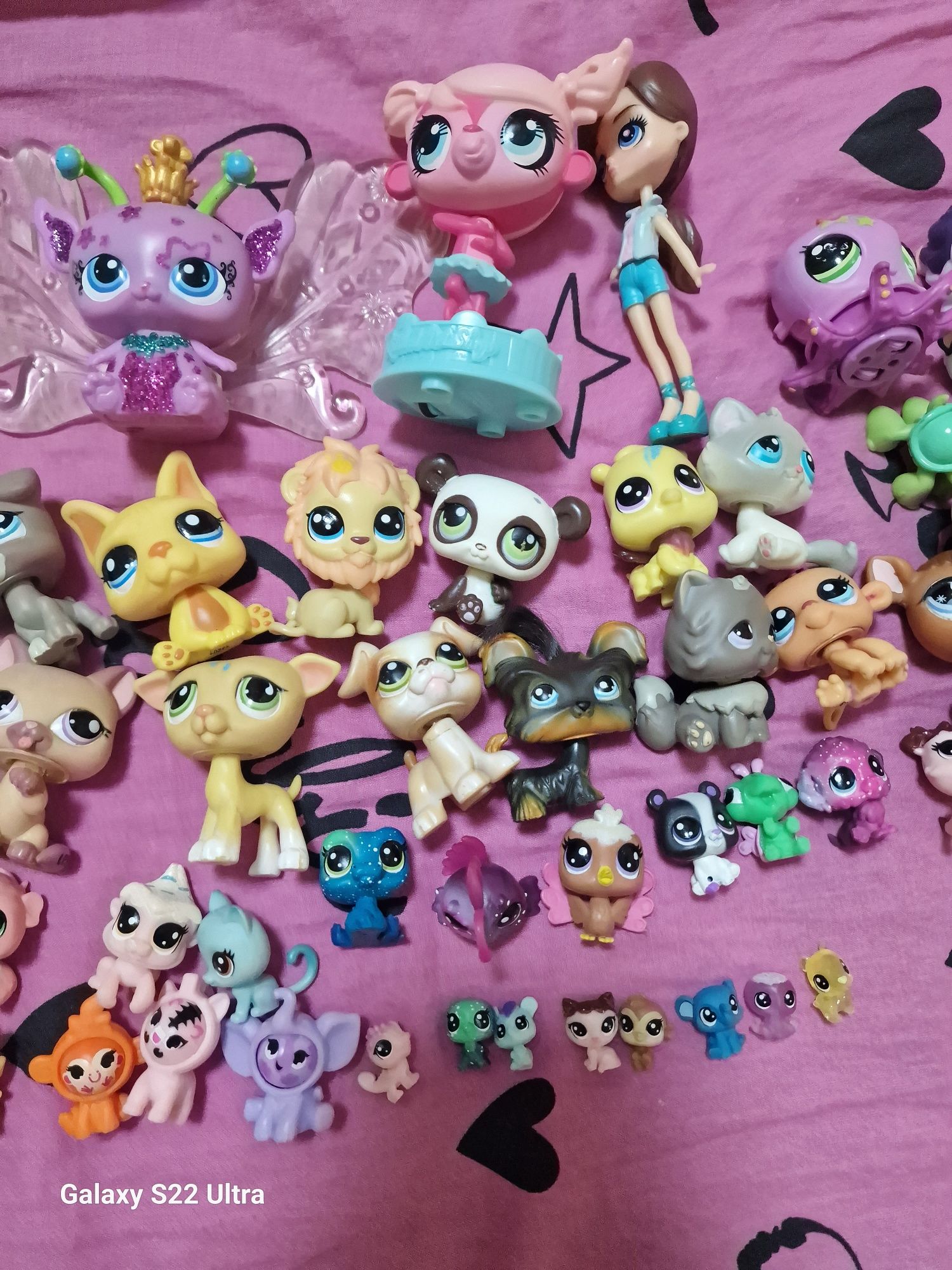 Lps litle pet shop