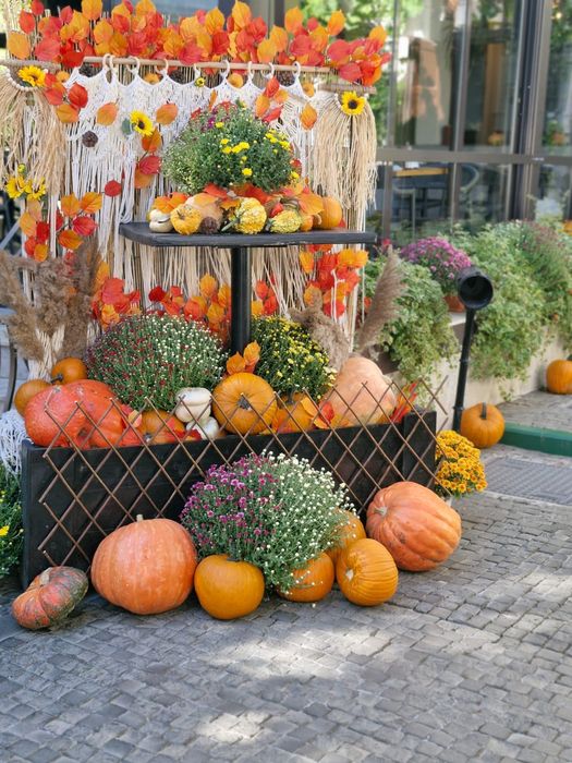 Dovleci decorativi și tărtăcuțe pentru aranjamente de toamnă