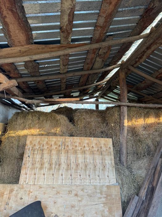 Baloti fan amestecat cu lucernă