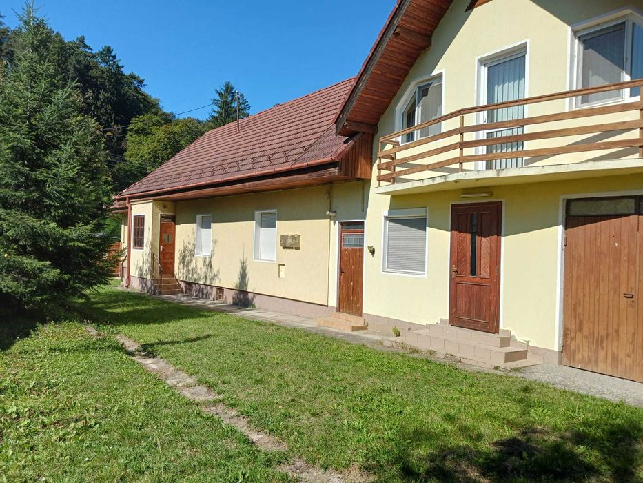 Casa frumoasa, ideala pentru 2 familii, localitatea Zizin, proprietar