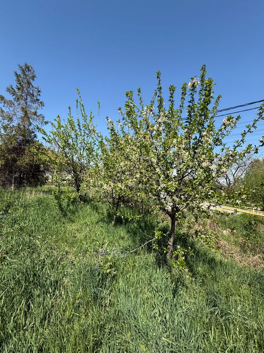 Teren de vânzare Mănăstirea Doamnei, Botosani