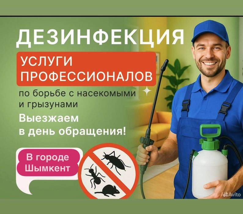 Профессиональный дезинфекция уничтожение насекомых клопов Тараканов жу