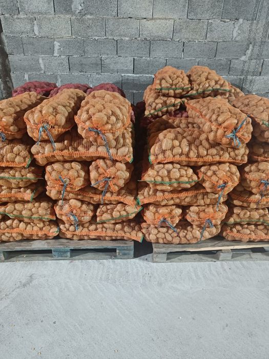 cartofi mari  alb rosu