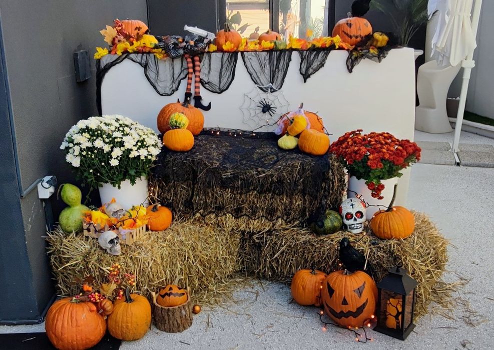 Dovleci decorativi și tărtăcuțe pentru aranjamente de toamnă