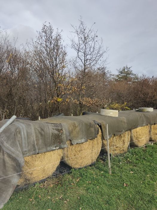 Продавам рулонни бали смес от сено и люцерна!