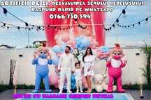 Arcada baloane gender reveal party Aranjamente baloane baby shower