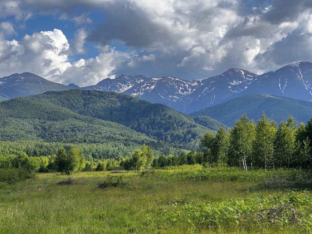 Teren intravilan Valea Avrigului  860 mp