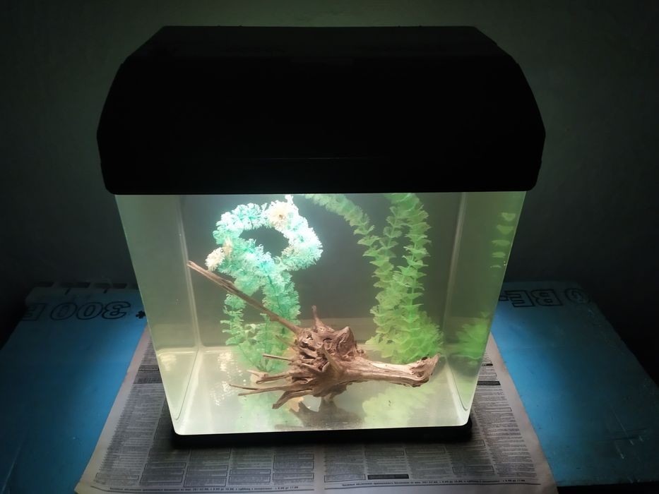 Заводской аквариум BOYU  42л + бонусы и рыбки.