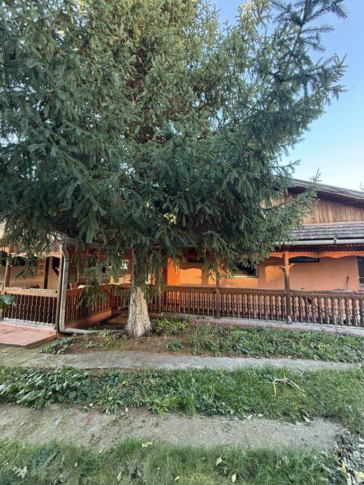 Casă de vânzare Iernut