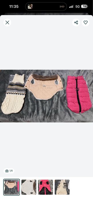 Дрехи за малко куче