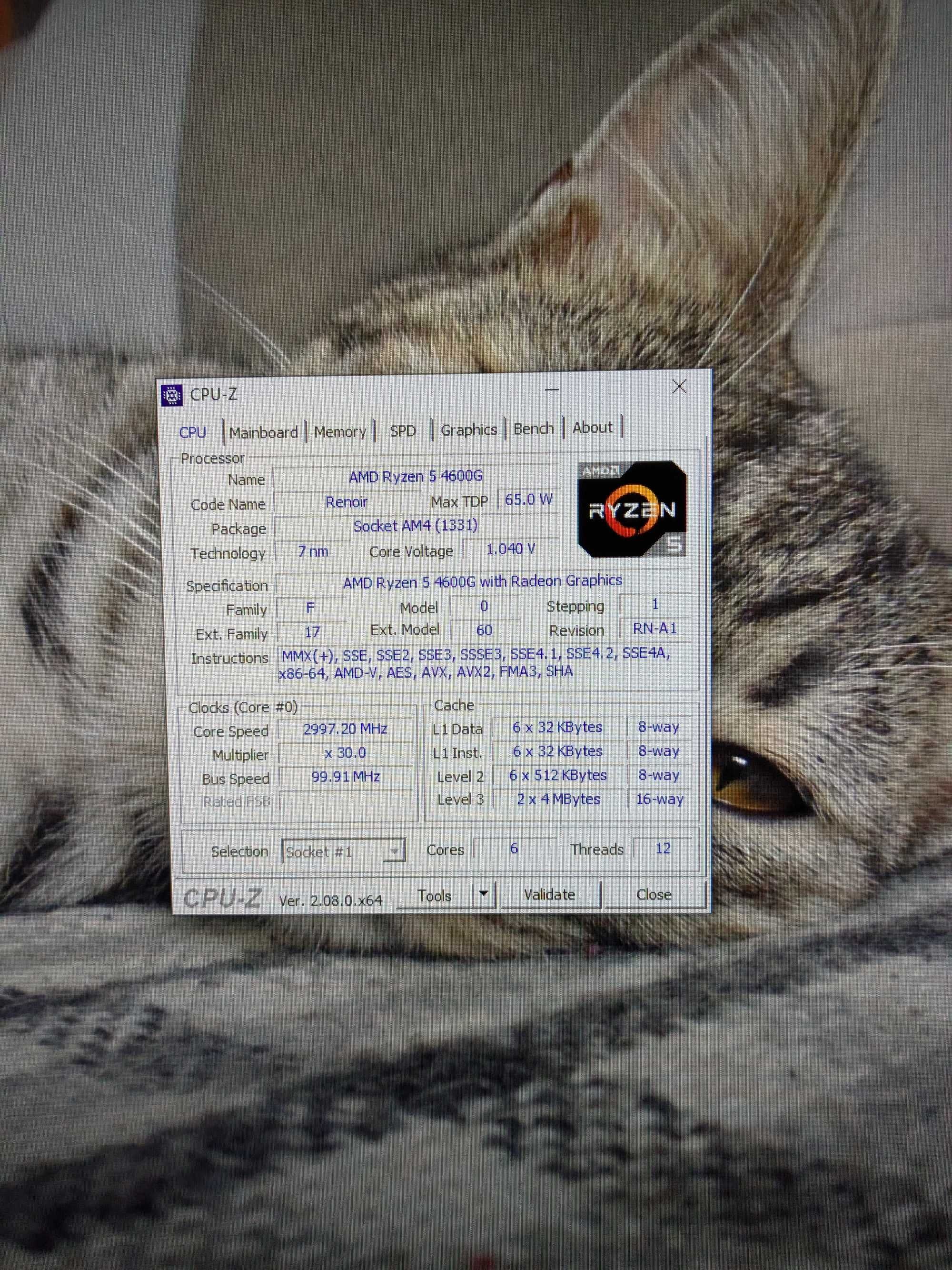 XFX RX 6600 8Gb DDR6