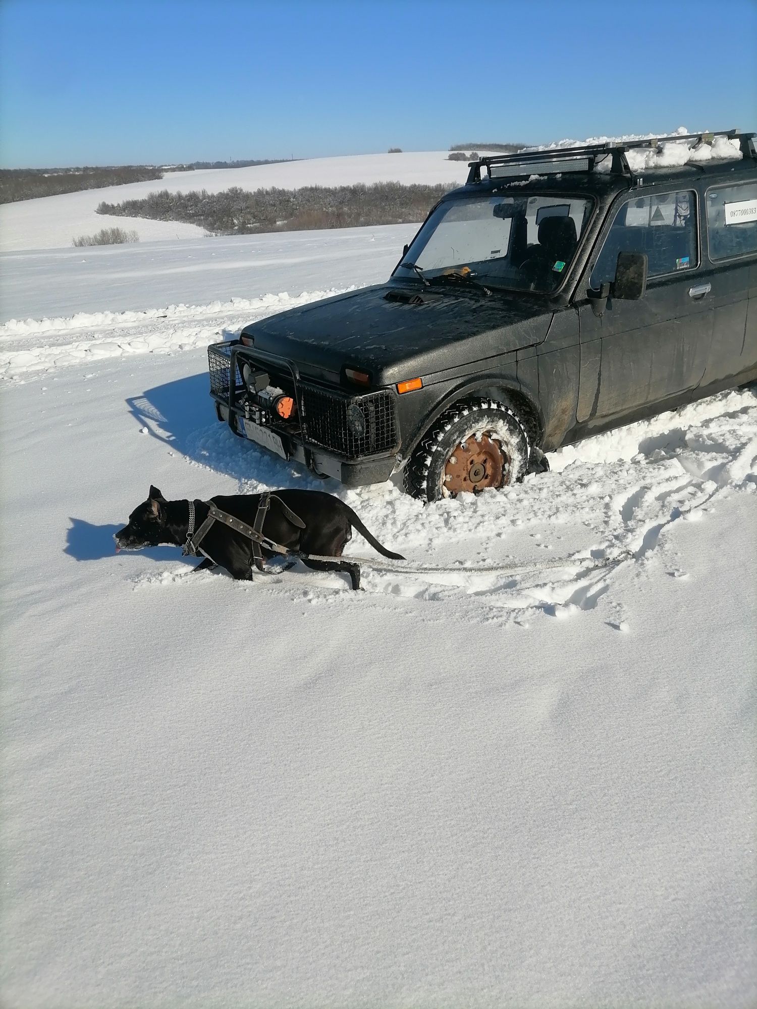 Lada niva 1.7i пикап