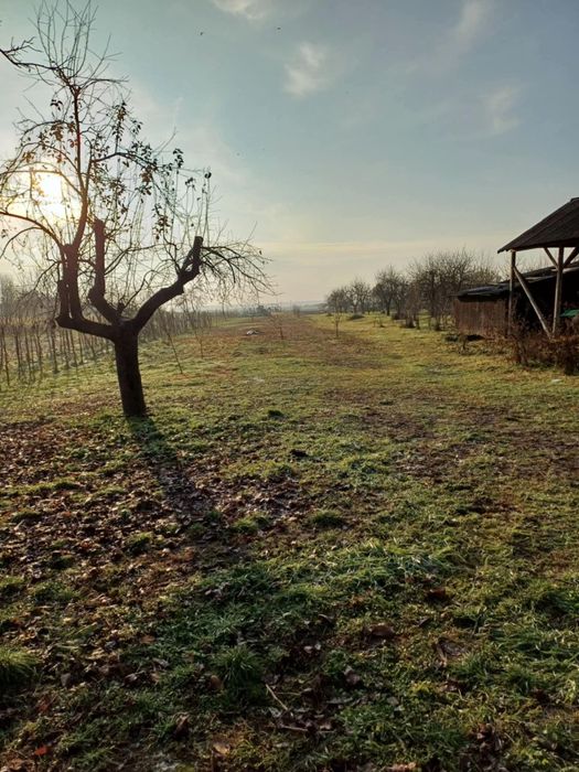 Casa de vanzare, 16 km de Satu-Mare, Paulian