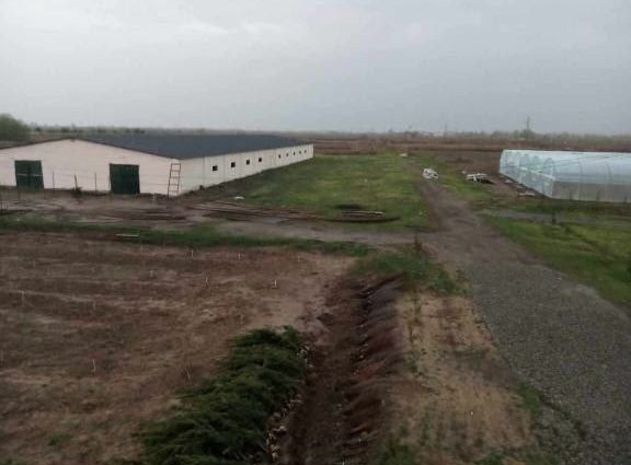 Guliston tumanida yer sotish | продажа земли в гулистанском районе