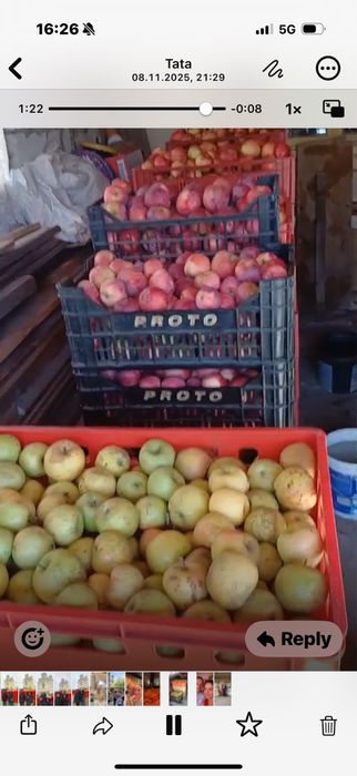 Mere de calitate superioara