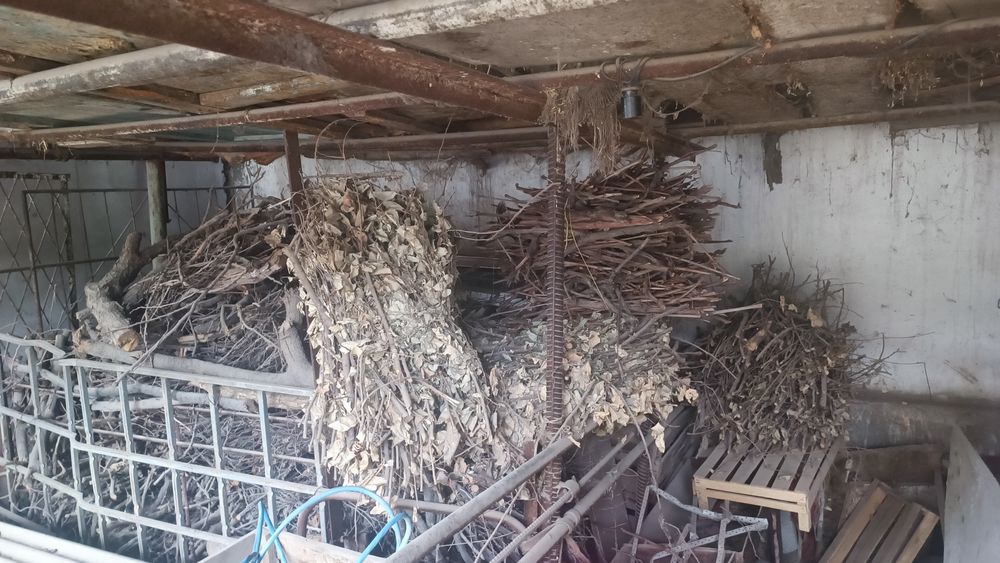 Otin sotiladi quruq xolatda