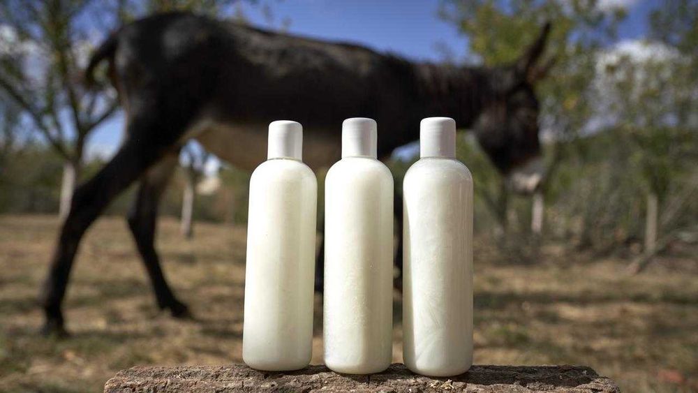 Магарешко мляко, 50 лева, от биологично отглеждани животни