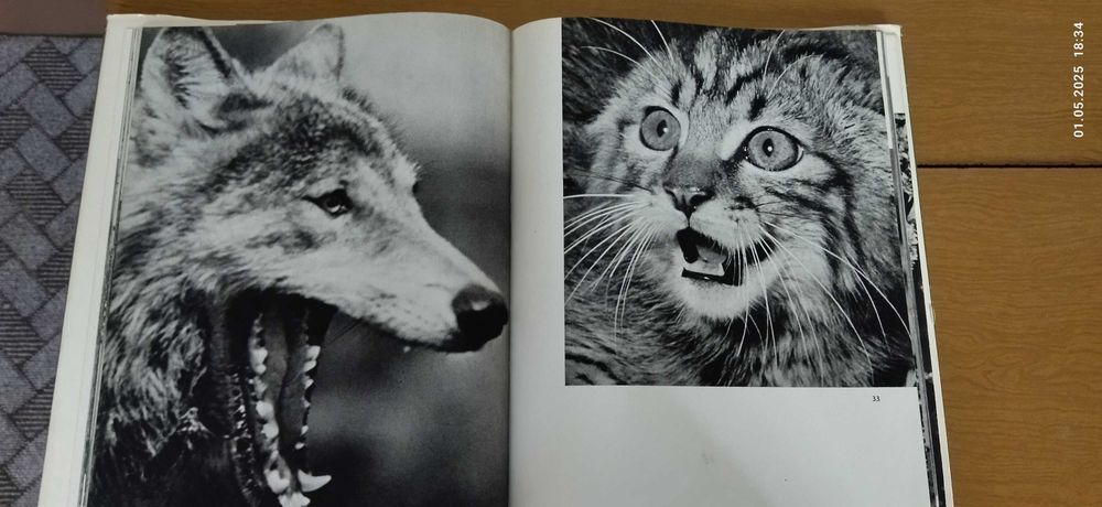 Книги о животных.