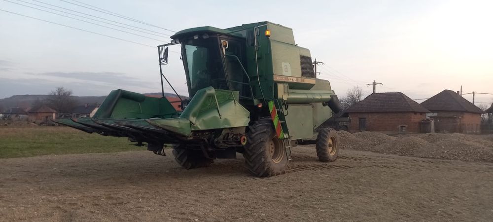 Masa porumb si floarea soarelui