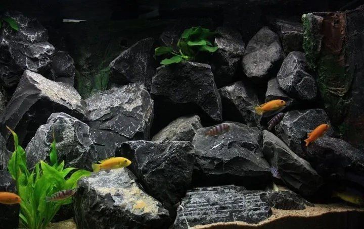 Декоративный камни для аквариума