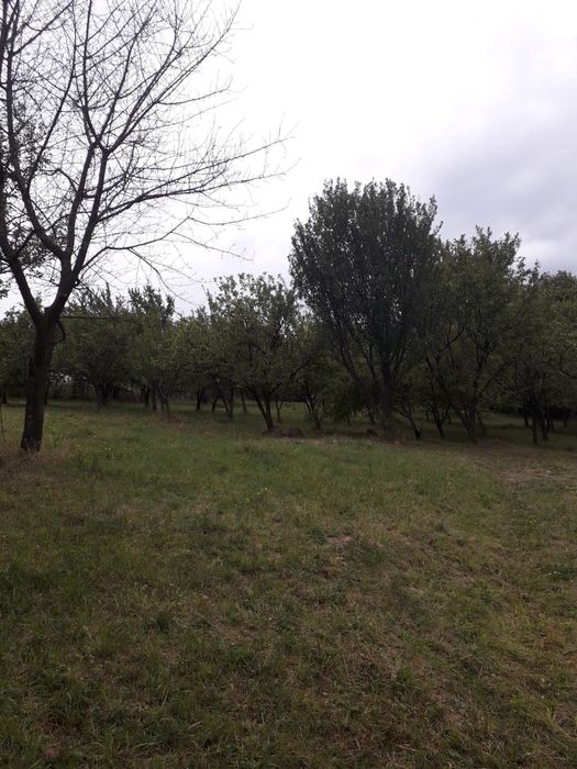 Teren intravilan Varatec, Neamț