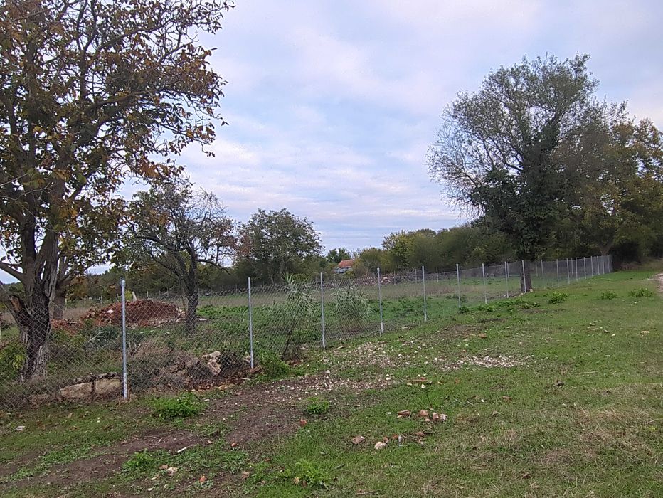 Имот в с. Бързица, общ. Провадия