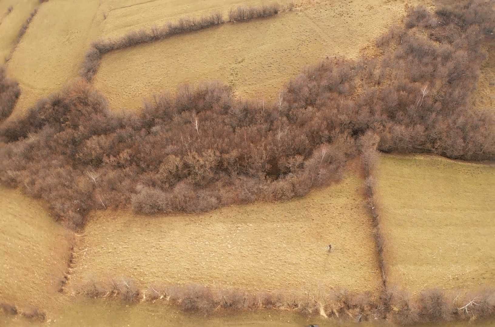 Teren la munte Tohanita Bran