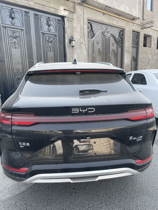 BYD чемпион сопилади