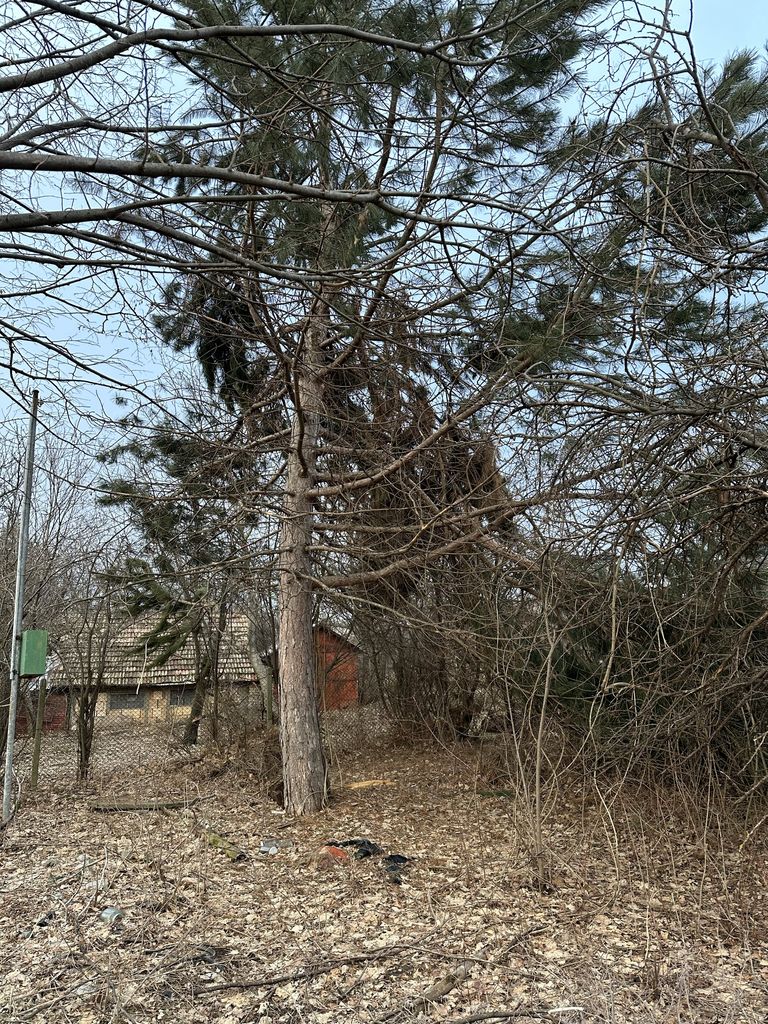 Продава се Парцел в Търговище, Боровец - 1050 кв.м за 8 €/кв.м - Снимка #3