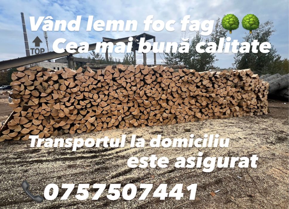 De vanzare lemn foc fag !