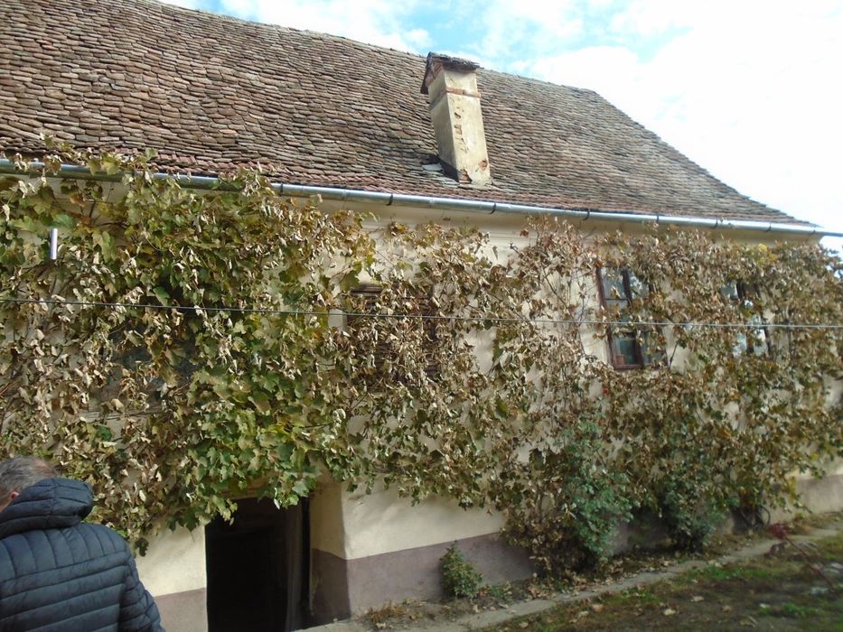 Casă de vânzare - sat Pelișor