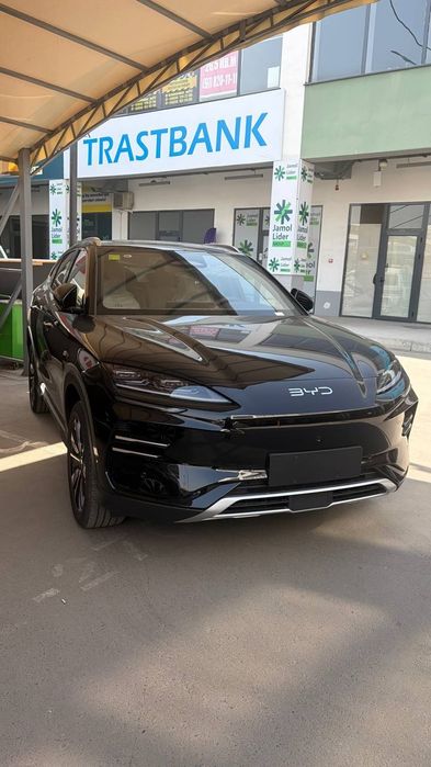 BYD Chempion 605km smart