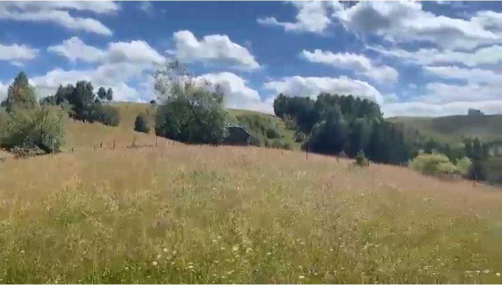 Teren 46.050 mp, Sat Șirnea, Comuna Fundata!