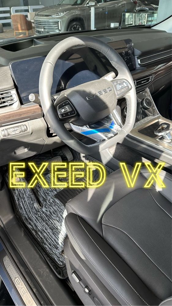 9D polik / коврики для Exeed VX
