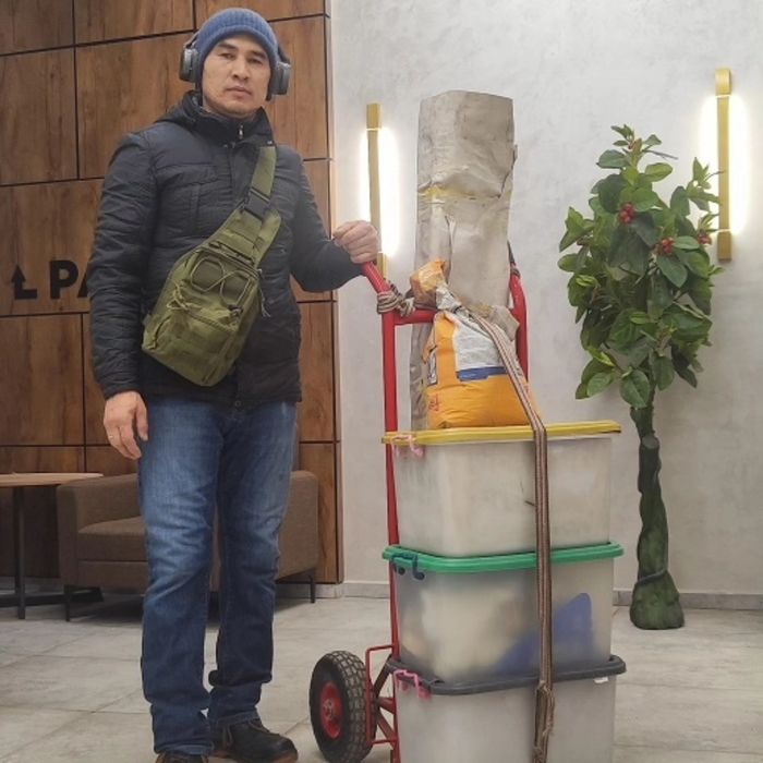 Укладка, кафель Толька мелкасрочны