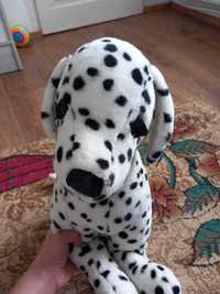 Vand catel plus dalmatian