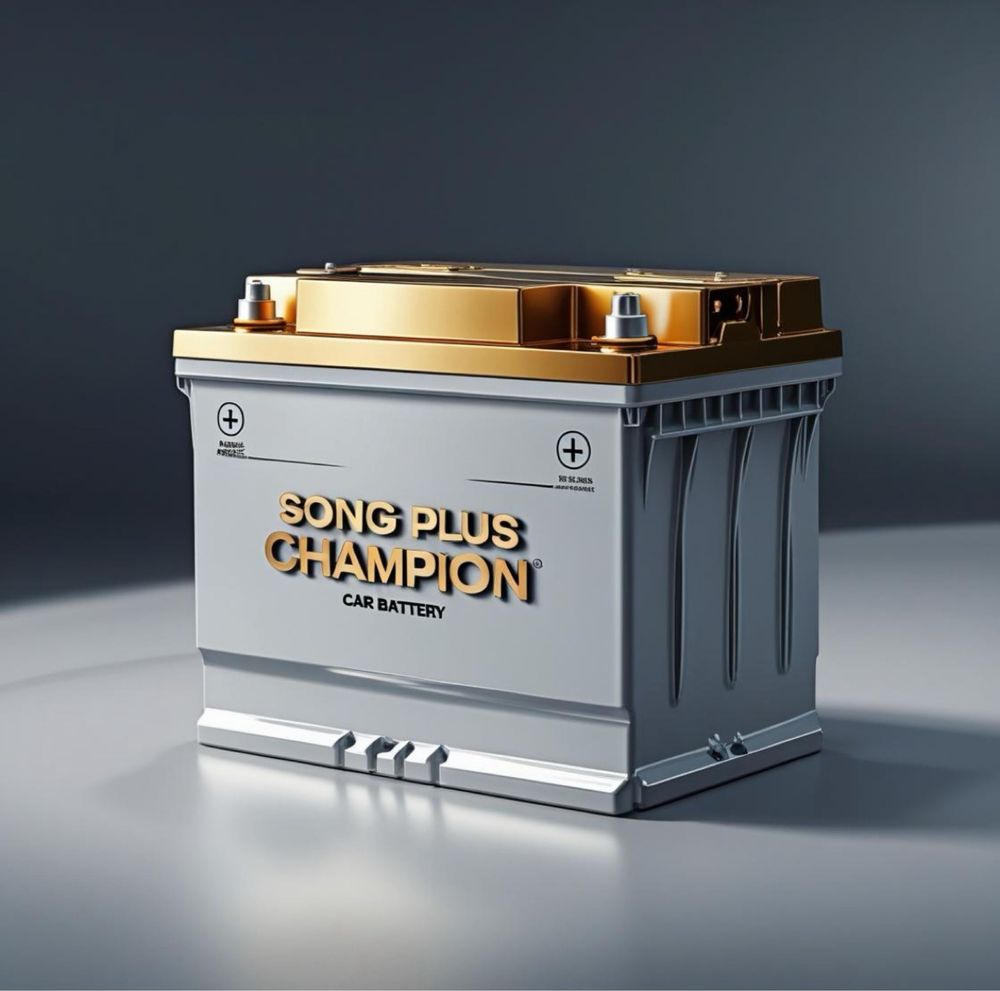 Akumlyator BYD byd аккумулятор даставка бесплатный 24/7 [ 1год гаранти